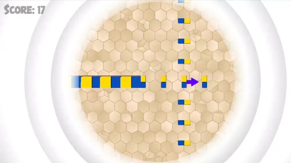 تصاویر Domino Pizza