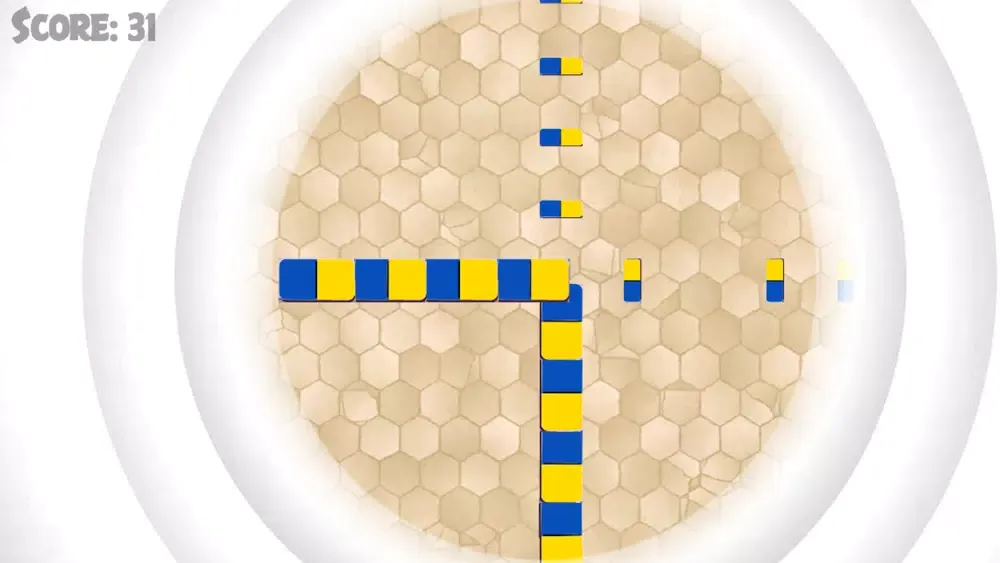 تصاویر Domino Pizza