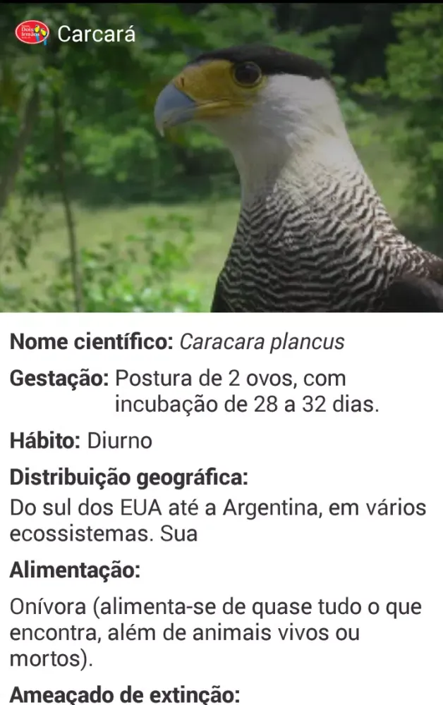 Parque Dois Irmãos 스크린샷