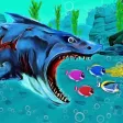 Hungry Fish Feed And Grow