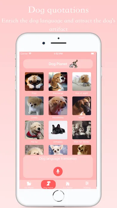 Ảnh chụp màn hình của Talking Pets - Cat & Dog