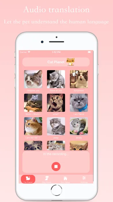 Ảnh chụp màn hình của Talking Pets - Cat & Dog