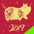 猪年运程特别版-2019最全大師运势预测 猪年运程特别版-2019最全大師运势预测
