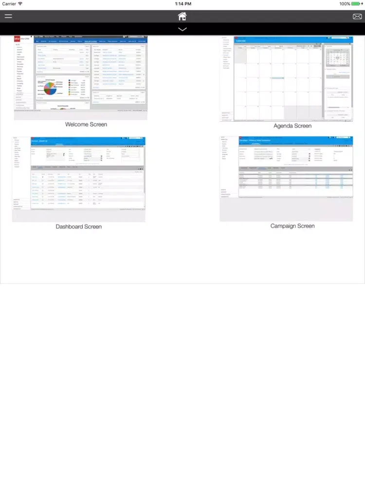 صور iCRM Info for Providian Global iPad 