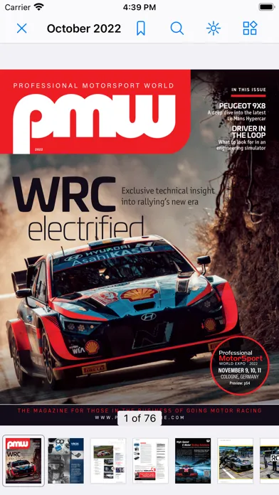 Professional Motorsport World Screenshots
