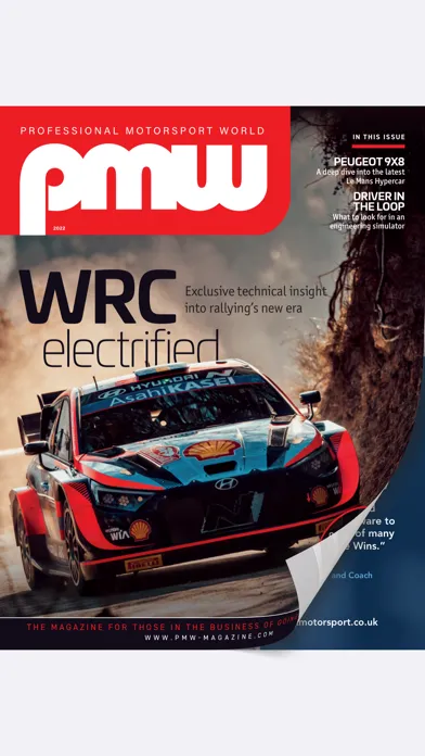 Professional Motorsport World Screenshots