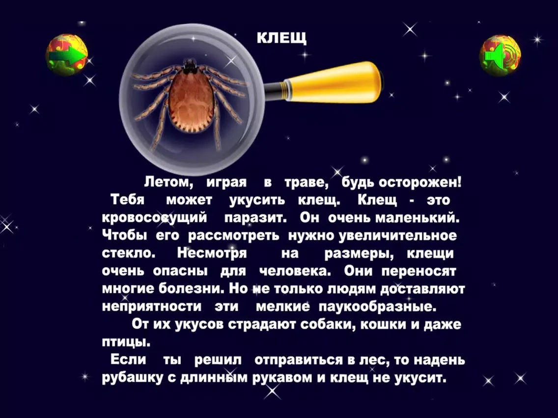 Учимся читать : Животные iPad  स्क्रीनशॉट
