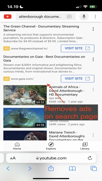 تصاویر "No Distractions" for YouTube