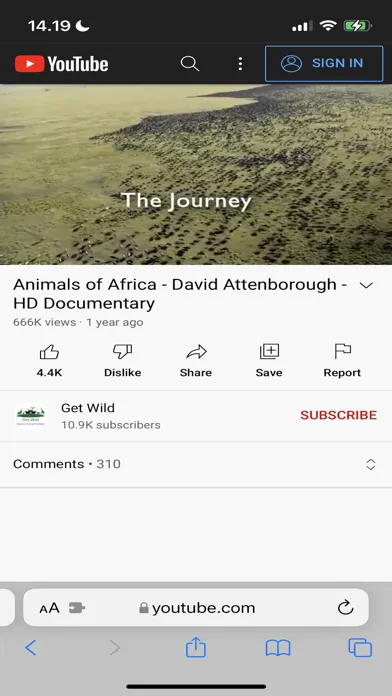 تصاویر "No Distractions" for YouTube