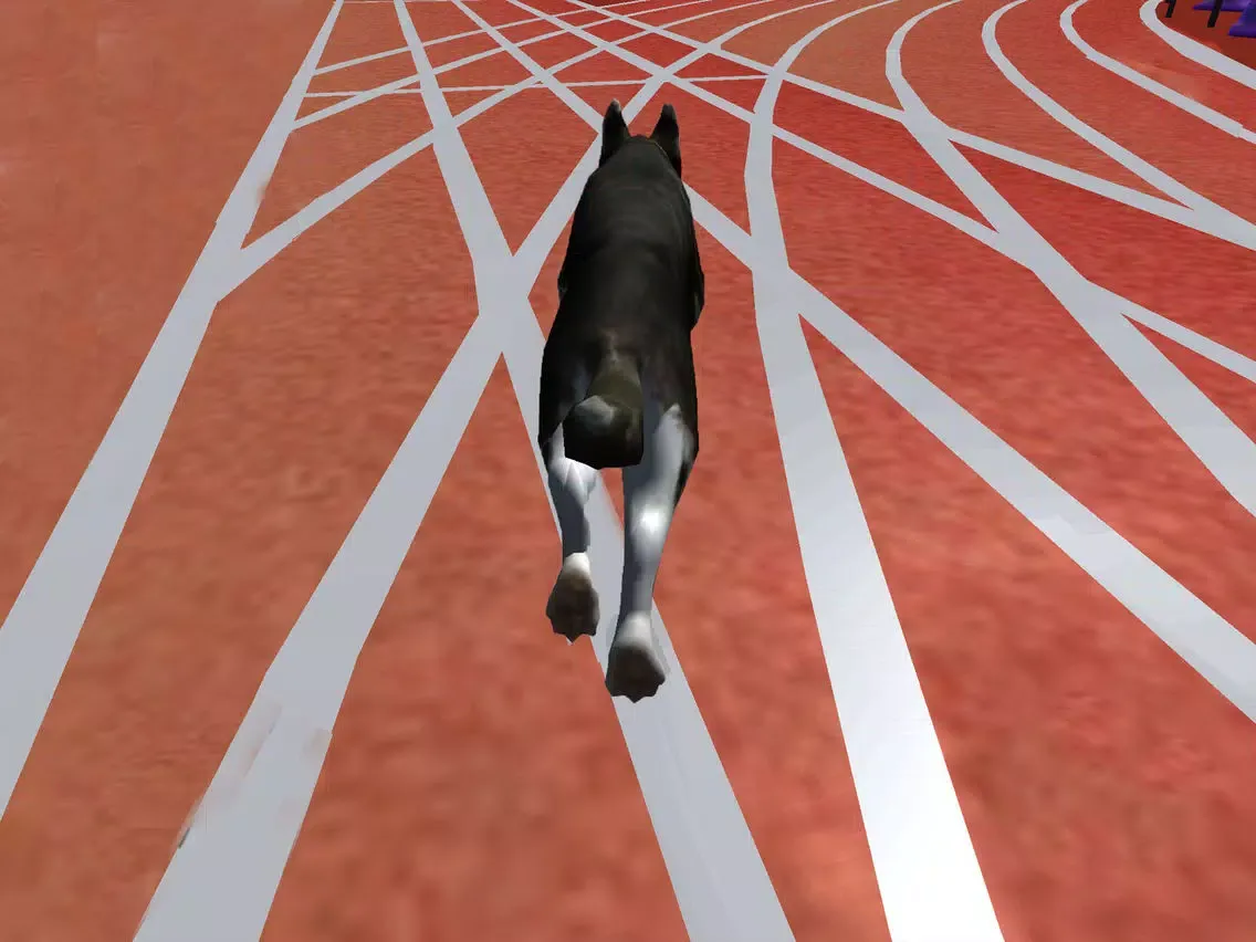 Ultimate Dog Racing : Virtual Stray Simulator 2017 iPad  Screenshots