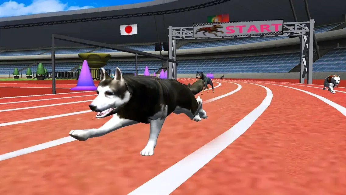 Ultimate Dog Racing : Virtual Stray Simulator 2017 Screenshots