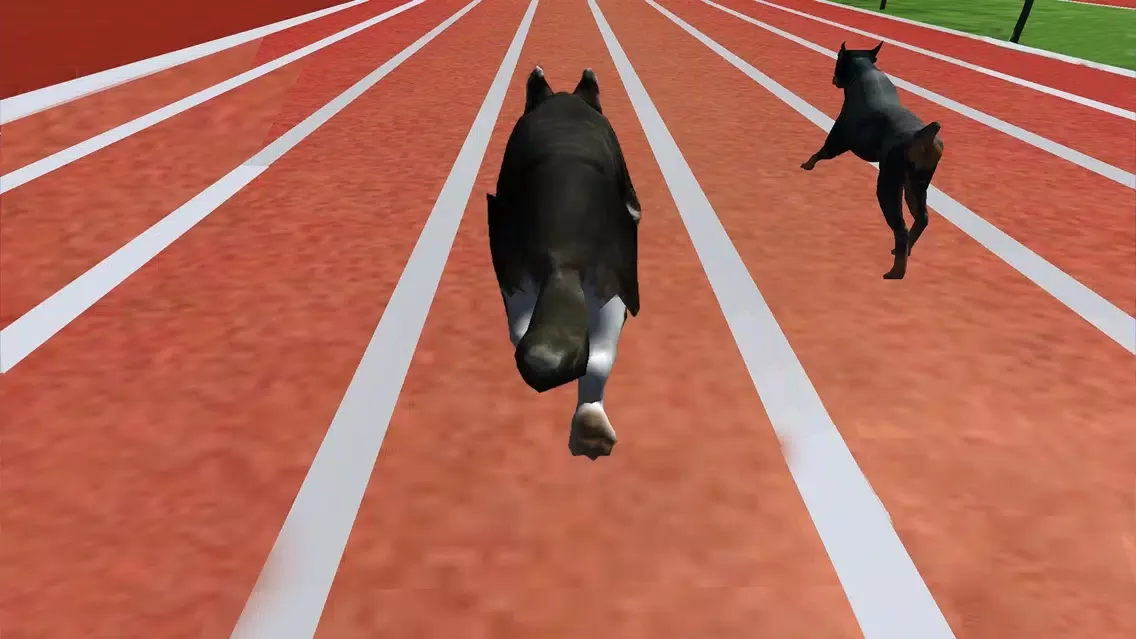 Ultimate Dog Racing : Virtual Stray Simulator 2017 Screenshots