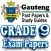 Grade 9 Gauteng Papers