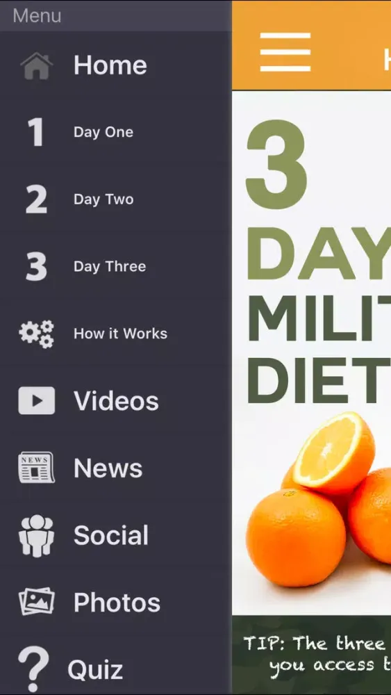 Tangkapan layar 3 Day Military Diet Guide