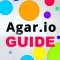 Companion Guide For Agar.io - Skins, Tricks And More!