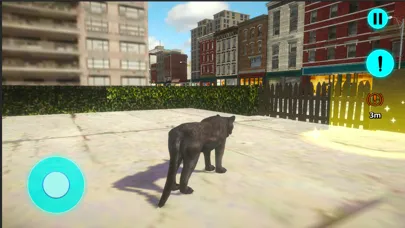 Tangkapan layar Scary Street Cat Game 2022