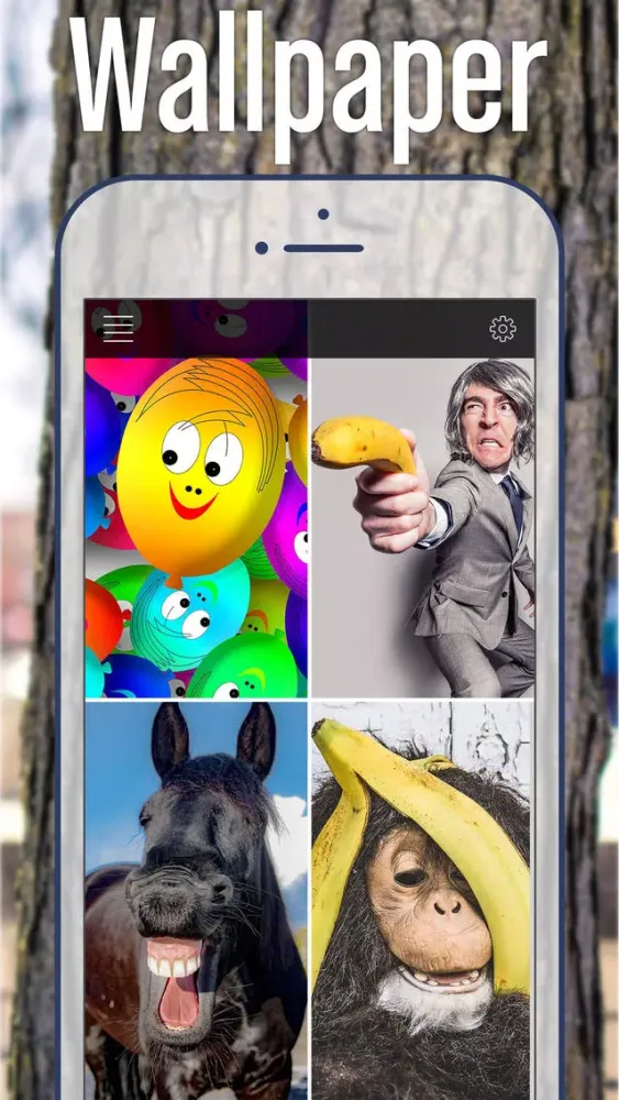 صور Funny LOL Wallpapers - LOL Pictures