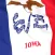 Iowa Flag Stickers