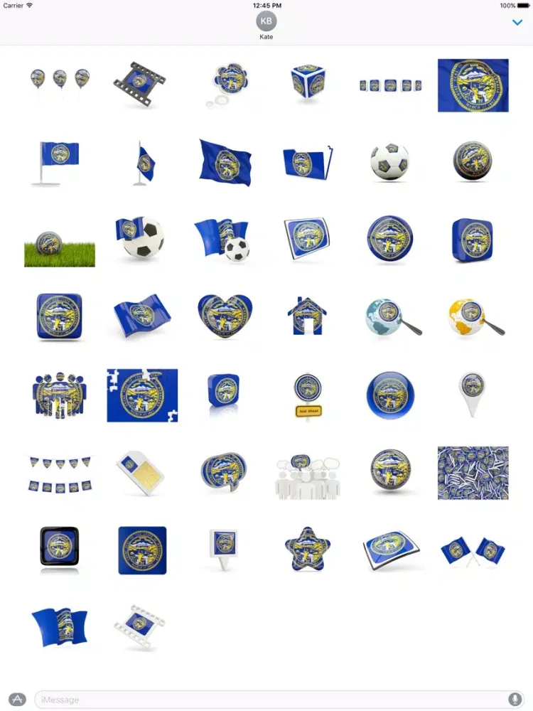 Nebraska Flag Stickers iPad 應用截圖
