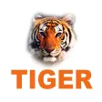 TIGER CCTV