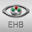 Eye Handbook Eye Handbook