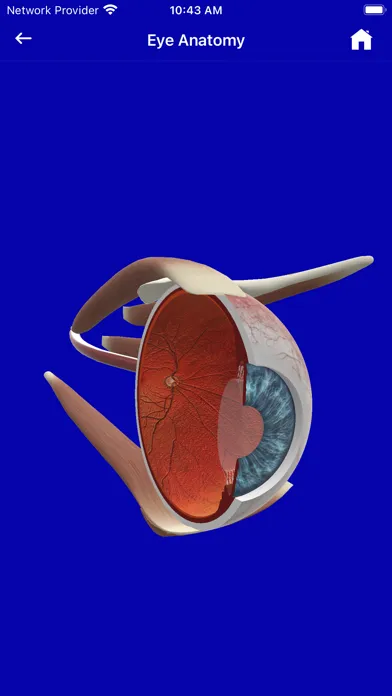 Eye Handbook Screenshots