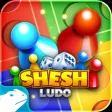 SheshLudo 2021 best board game SheshLudo 2021 best board game