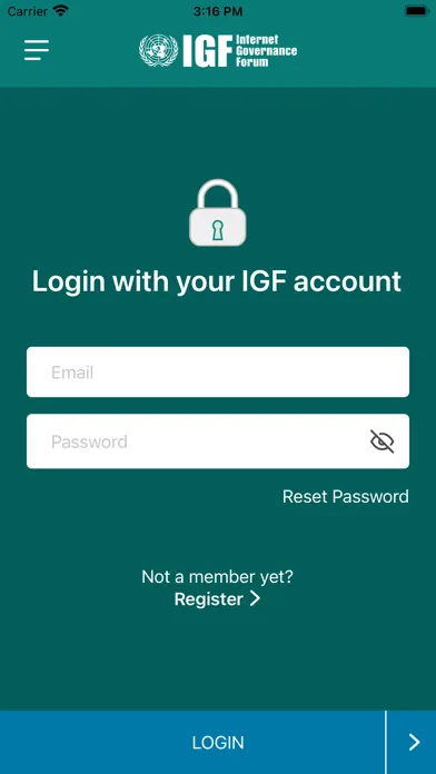 Zrzuty ekranu UN IGF