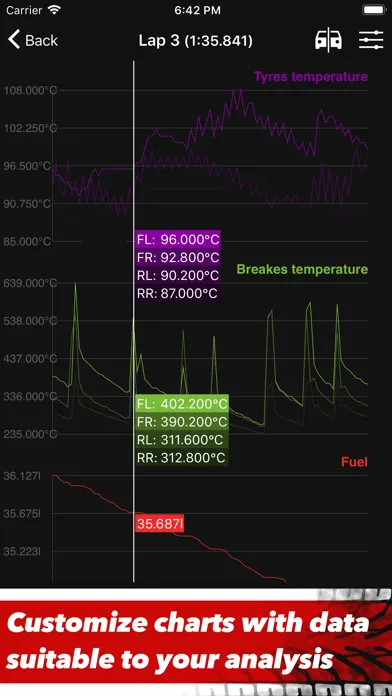 صور Sim Racing Telemetry