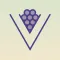 Vintg: Wine Tasting Tracker