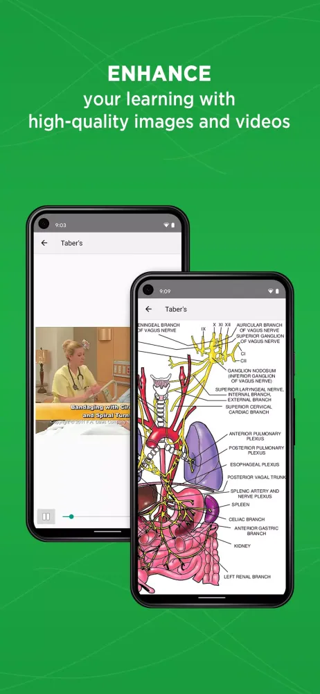 Taber's Medical Dictionary... 스크린샷
