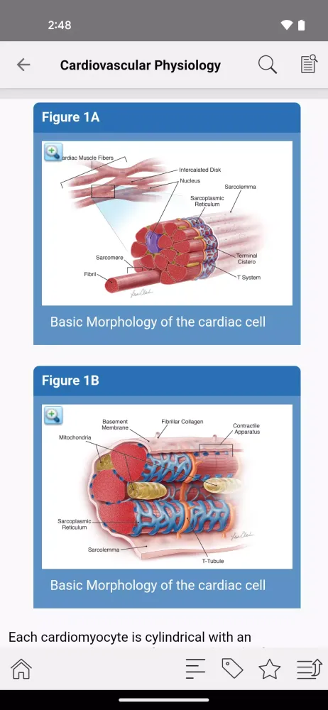 STS Cardiothoracic Surgery Screenshots