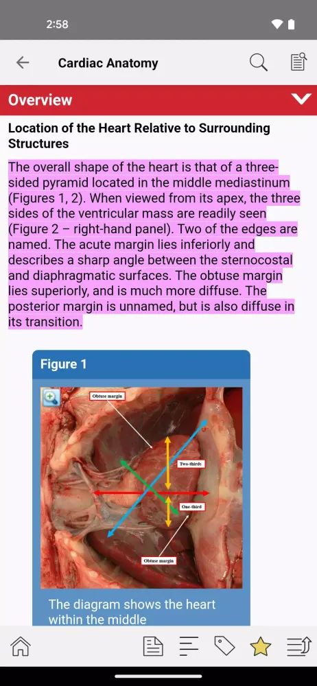 STS Cardiothoracic Surgery Screenshots
