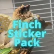 Finch Stickers Finch Stickers