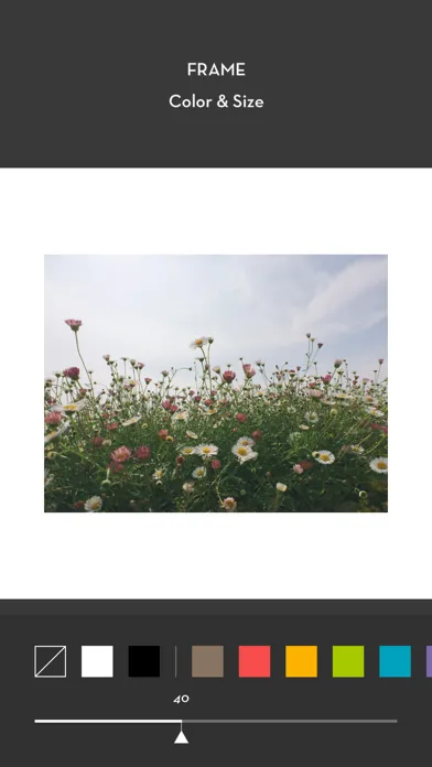 Whitagram سکرین شاٹس