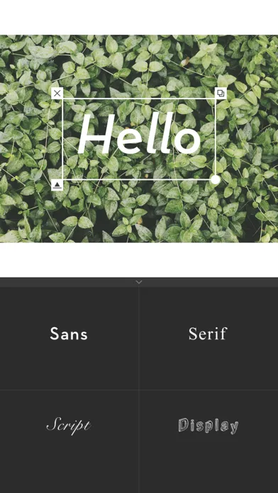 Whitagram سکرین شاٹس