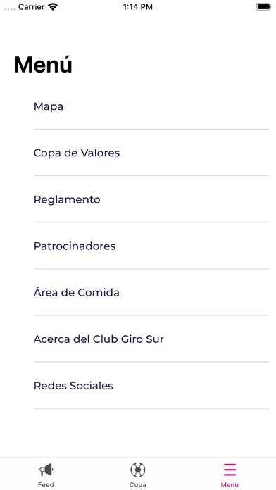 Copa Giro Sur应用截图