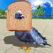 City Bird Pigeon Simulator