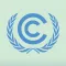 COP 29 Platform