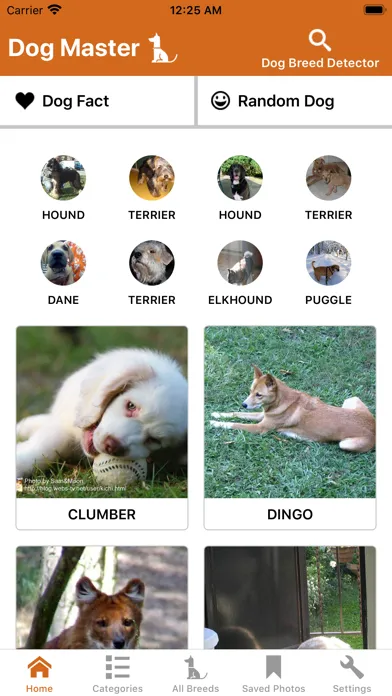 Dog Master - Dog Lover App سکرین شاٹس