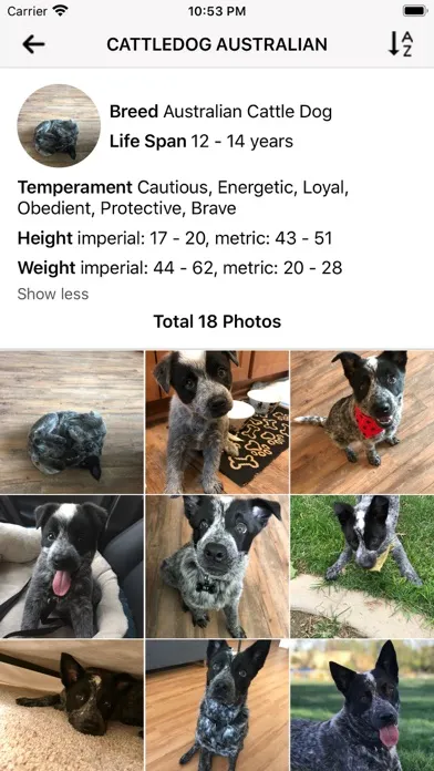 Dog Master - Dog Lover App سکرین شاٹس