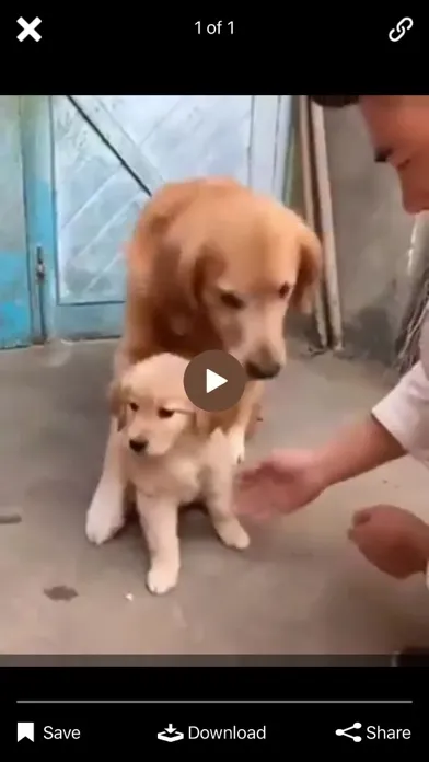Dog Master - Dog Lover App سکرین شاٹس