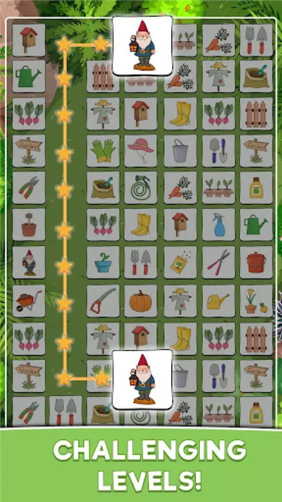 Tangkapan skrin Connect Master - Pair Matching