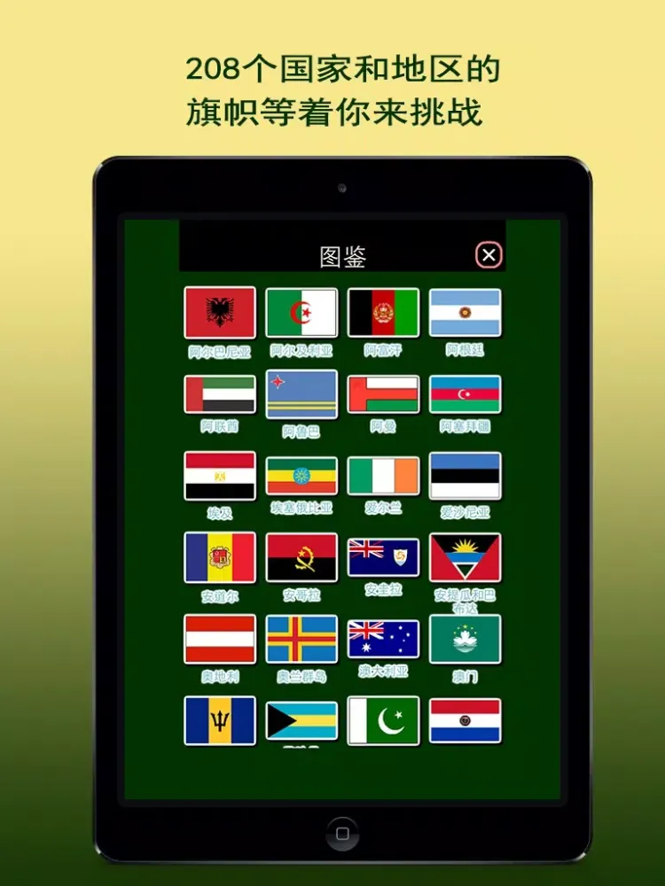 Скриншоты 国旗大师 iPad 