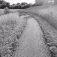 Further: Set a goal and go!