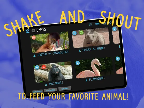صور Virry game: Learn wild animals iPad 