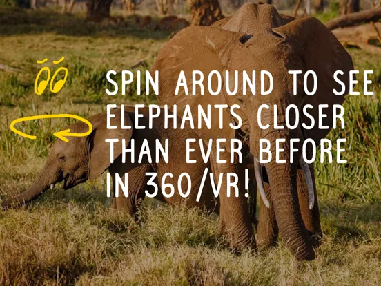صور Virry game: Learn wild animals iPad 