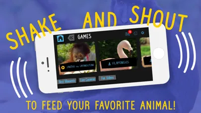صور Virry game: Learn wild animals