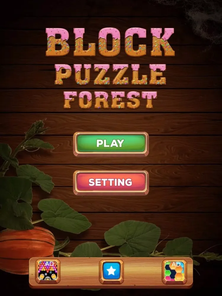 Block Puzzle Dash iPad 应用截图