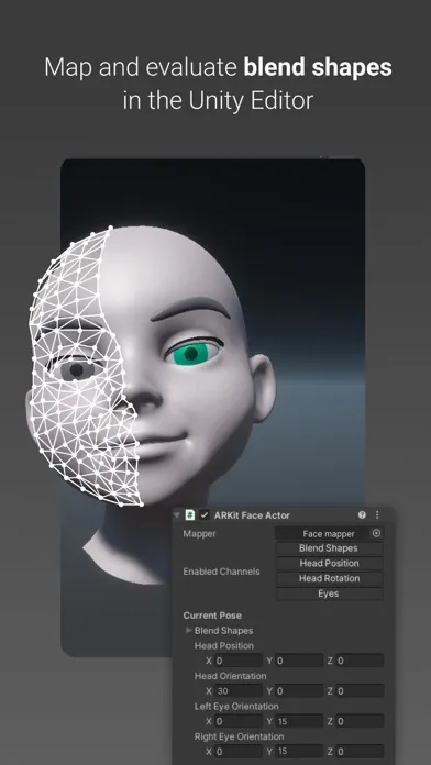Unity Face Capture Screenshots